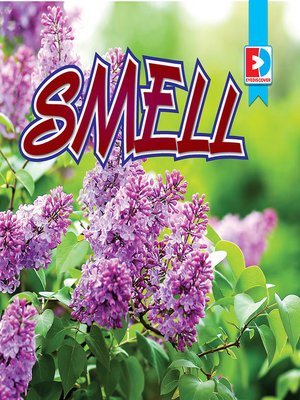 cover image of Smell